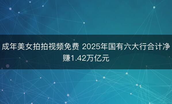 成年美女拍拍视频免费 2025年国有六大行合计净赚1.42万亿元