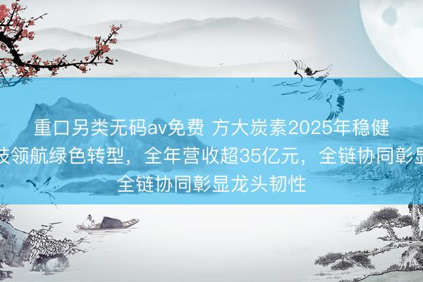 重口另类无码av免费 方大炭素2025年稳健经营：科技领航绿色转型，全年营收超35亿元，全链协同彰显龙头韧性
