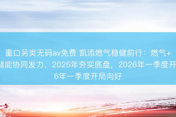 重口另类无码av免费 凯添燃气稳健前行：燃气+智算+储能协同发力，2025年夯实底盘，2026年一季度开局向好