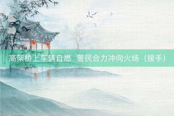 高架桥上车辆自燃  警民合力冲向火场（援手）