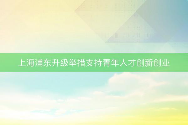 上海浦东升级举措支持青年人才创新创业