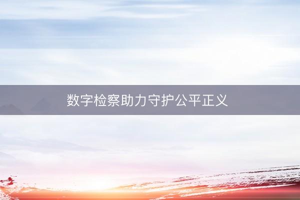 数字检察助力守护公平正义 