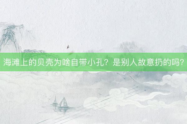 海滩上的贝壳为啥自带小孔？是别人故意扔的吗？