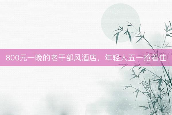 800元一晚的老干部风酒店，年轻人五一抢着住
