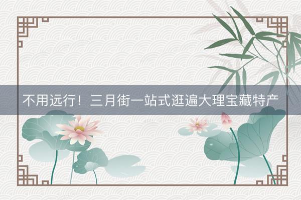 不用远行！三月街一站式逛遍大理宝藏特产