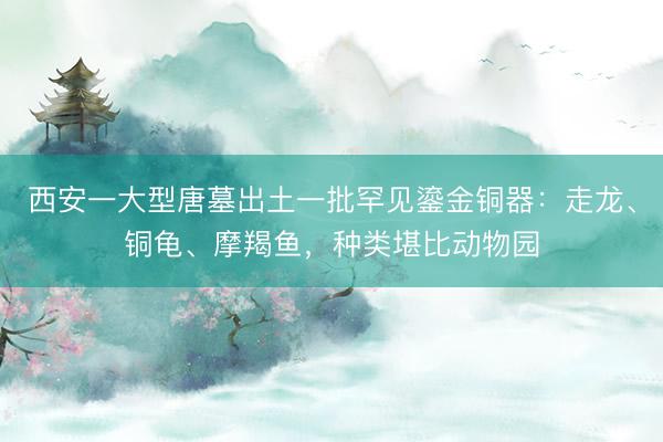 西安一大型唐墓出土一批罕见鎏金铜器：走龙、铜龟、摩羯鱼，种类堪比动物园