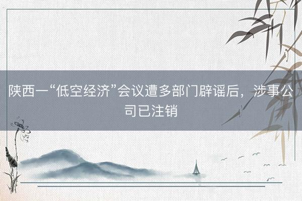 陕西一“低空经济”会议遭多部门辟谣后，涉事公司已注销