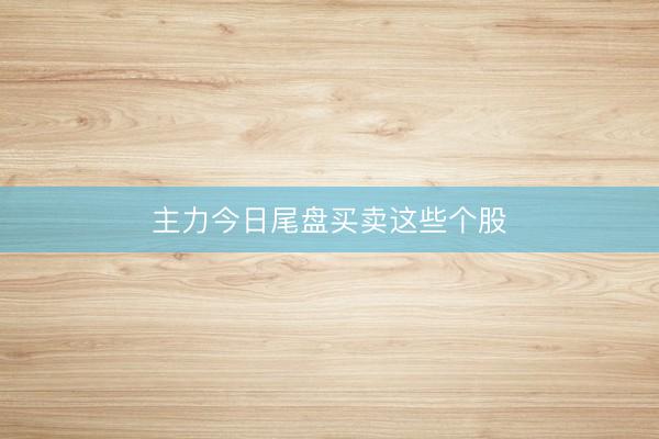 主力今日尾盘买卖这些个股