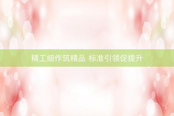 精工细作筑精品 标准引领促提升