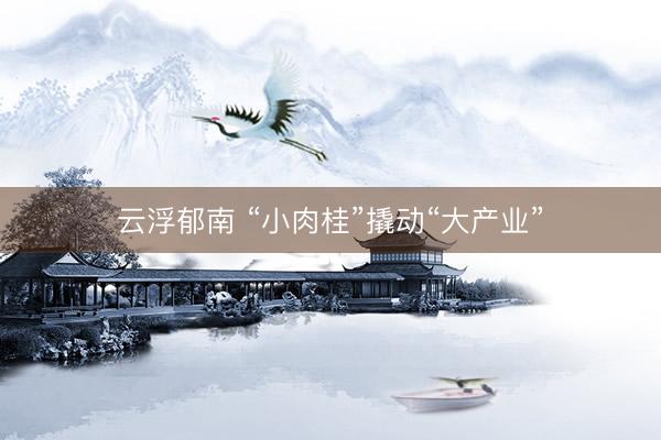 云浮郁南 “小肉桂”撬动“大产业”