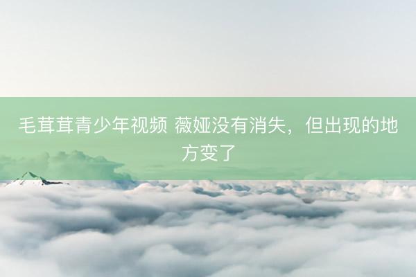 毛茸茸青少年视频 薇娅没有消失，但出现的地方变了