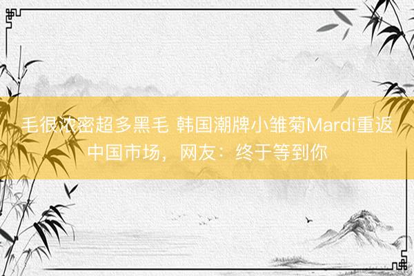 毛很浓密超多黑毛 韩国潮牌小雏菊Mardi重返中国市场，网友：终于等到你