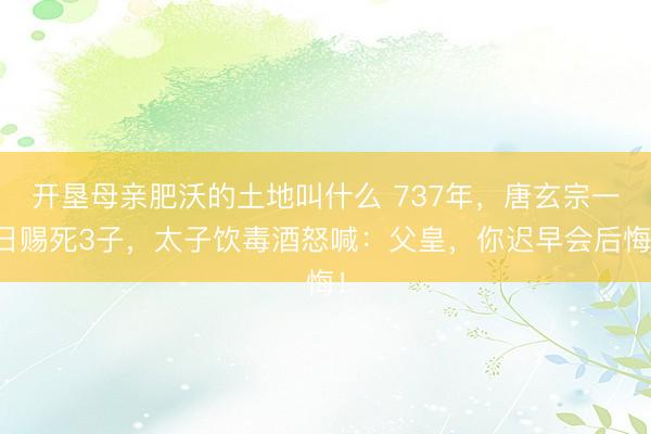 开垦母亲肥沃的土地叫什么 737年，唐玄宗一日赐死3子，太子饮毒酒怒喊：父皇，你迟早会后悔！