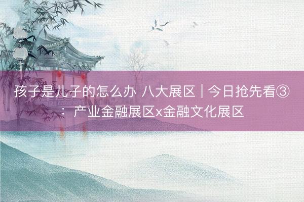 孩子是儿子的怎么办 八大展区 | 今日抢先看③：产业金融展区x金融文化展区