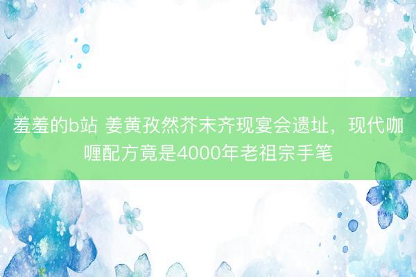 羞羞的b站 姜黄孜然芥末齐现宴会遗址，现代咖喱配方竟是4000年老祖宗手笔