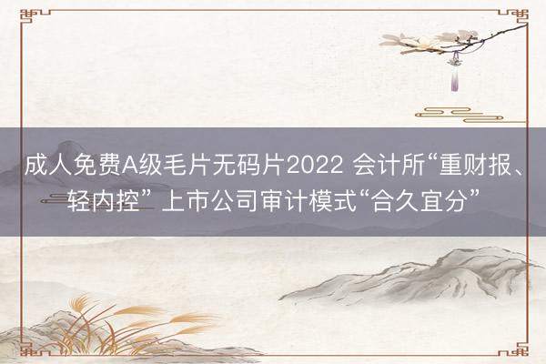 成人免费A级毛片无码片2022 会计所“重财报、轻内控” 上市公司审计模式“合久宜分”