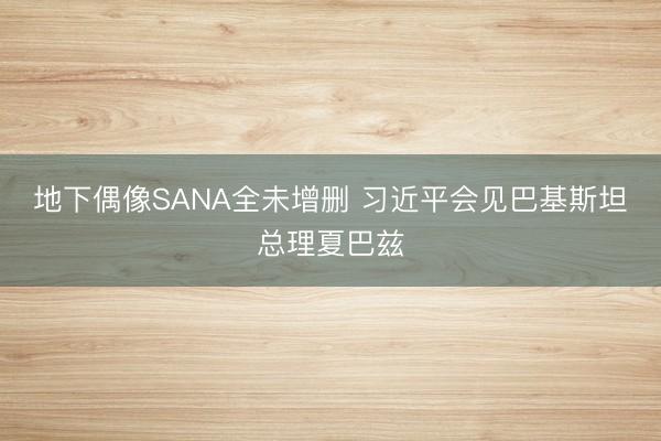 地下偶像SANA全未增删 习近平会见巴基斯坦总理夏巴兹