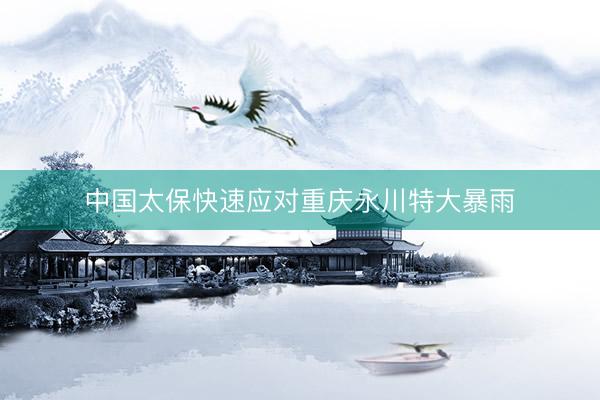 中国太保快速应对重庆永川特大暴雨