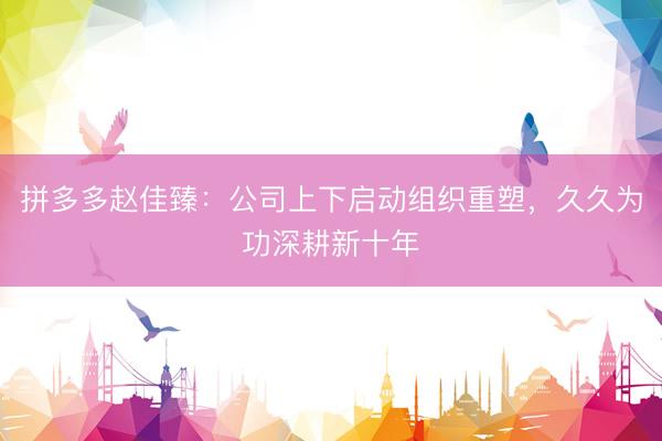 拼多多赵佳臻：公司上下启动组织重塑，久久为功深耕新十年