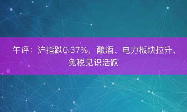 午评：沪指跌0.37%，酿酒、电力板块拉升，免税见识活跃