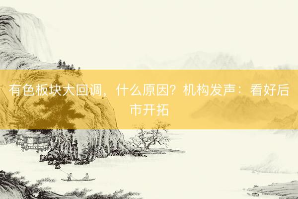 有色板块大回调，什么原因？机构发声：看好后市开拓