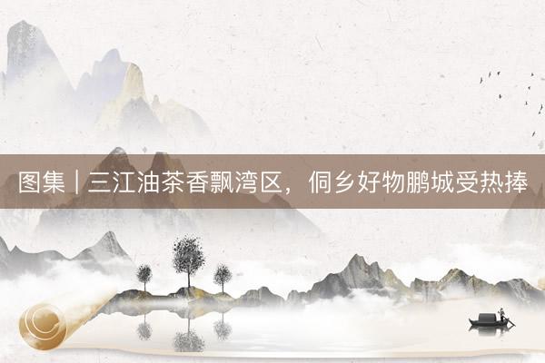 图集 | 三江油茶香飘湾区，侗乡好物鹏城受热捧
