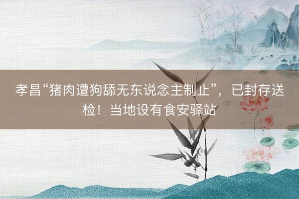 孝昌“猪肉遭狗舔无东说念主制止”，已封存送检！当地设有食安驿站