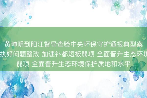 黄坤明到阳江督导查验中央环保守护通报典型案例整改职责 坚毅执好问题整改 加速补都短板弱项 全面晋升生态环境保护质地和水平