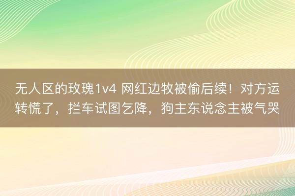 无人区的玫瑰1v4 网红边牧被偷后续！对方运转慌了，拦车试图乞降，狗主东说念主被气哭