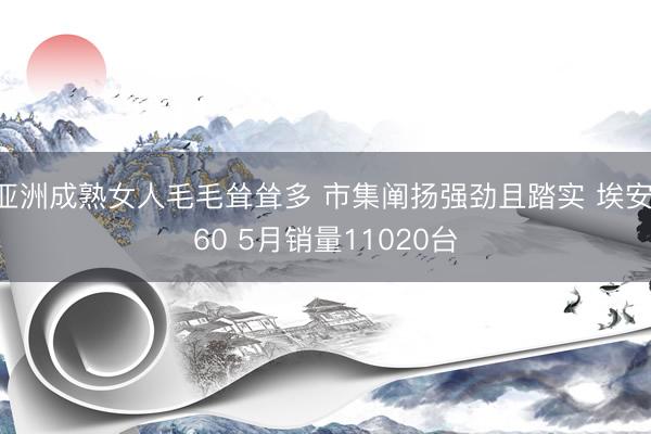 亚洲成熟女人毛毛耸耸多 市集阐扬强劲且踏实 埃安i60 5月销量11020台