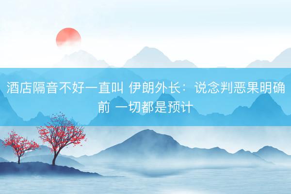 酒店隔音不好一直叫 伊朗外长：说念判恶果明确前 一切都是预计