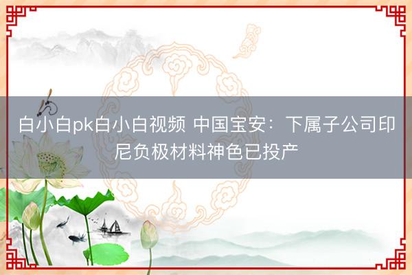 白小白pk白小白视频 中国宝安：下属子公司印尼负极材料神色已投产