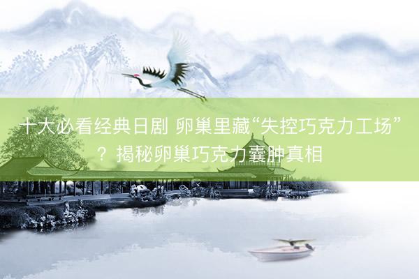 十大必看经典日剧 卵巢里藏“失控巧克力工场”？揭秘卵巢巧克力囊肿真相
