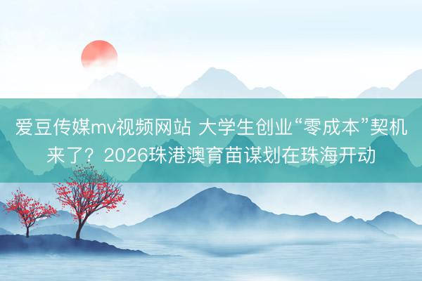 爱豆传媒mv视频网站 大学生创业“零成本”契机来了？2026珠港澳育苗谋划在珠海开动
