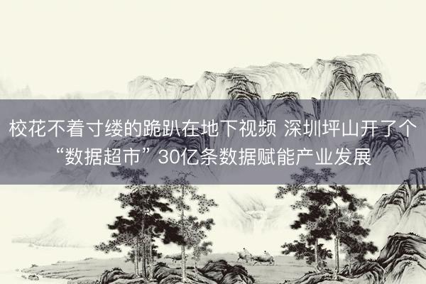 校花不着寸缕的跪趴在地下视频 深圳坪山开了个“数据超市” 30亿条数据赋能产业发展
