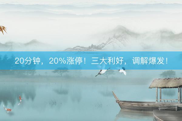 20分钟，20%涨停！三大利好，调解爆发！