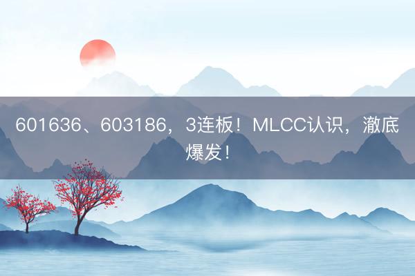 601636、603186，3连板！MLCC认识，澈底爆发！